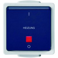 1St. Heizungsnotschalter FR AP IP54 10A 250V hellgraustahlblau