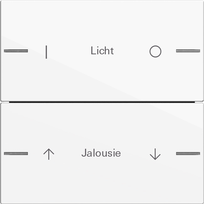 1St. Gira 576203 Wippenset 2fach individuell für Tastsensor 4, Reinweiß glänzend