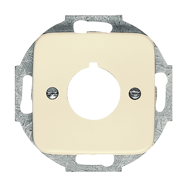 1St. Busch-Jaeger 2533-212 Zentralscheibe, mit Tragring Busch-Duro 2000 SI cremeweiß