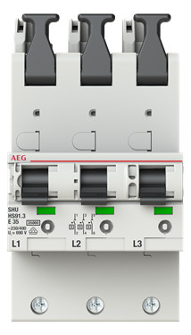 1St. AEG2CDS781055R4352 HS91.3E35SAV Sel. Haupt-LS 25kA 35A