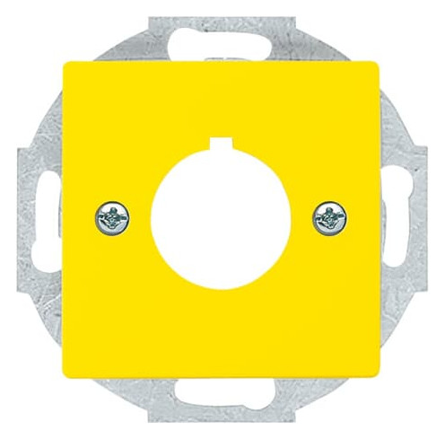 1St. Busch-Jaeger 2533-82-15 Zentralscheibe, mit Tragring carat gelb