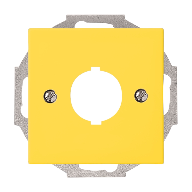 1St. Busch-Jaeger 2533-914-15 Zentralscheibe, mit Tragring Busch-balance SI gelb