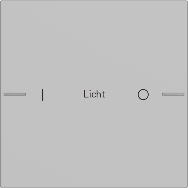 1St. Gira 5761015 Wippenset 1fach individuell für Tastsensor 4, Grau matt