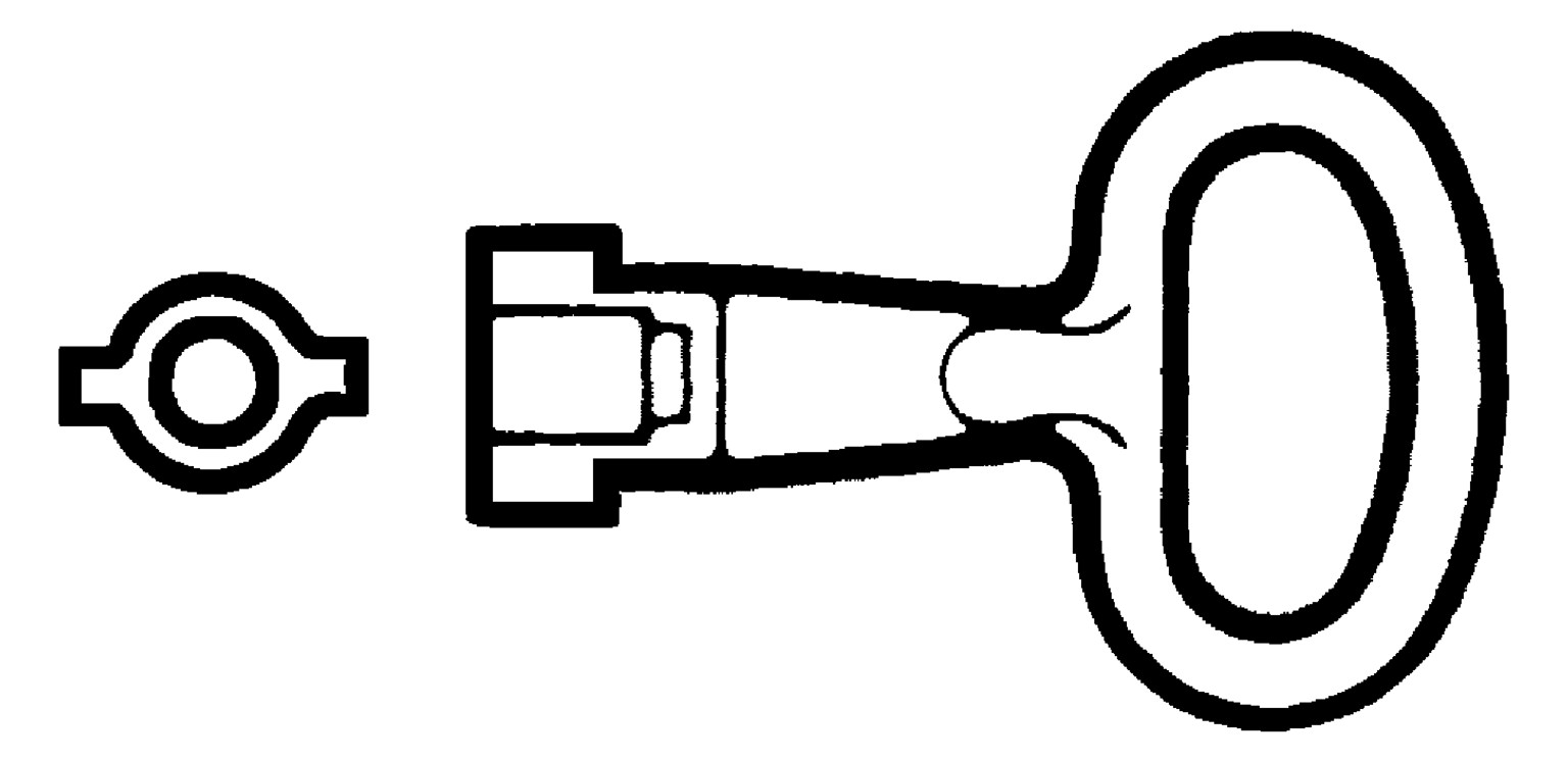 1St. Schneider Electric NSYLDB5 Metallschlüssel für 5mm-Doppelbarteinsatz